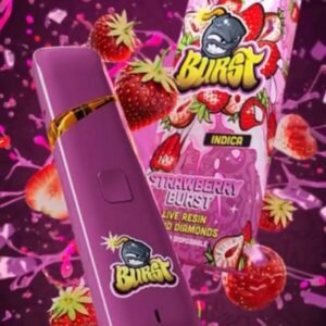 Buy Burst 2G Disposable Online